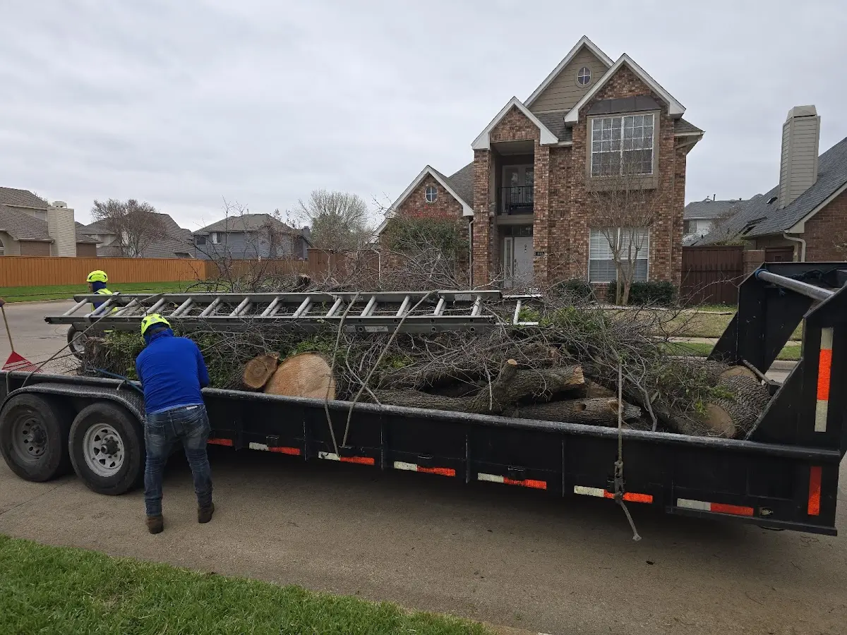 Expert Tree Fertilization with proper safety equipment in Iron